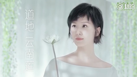[新闻]170911 刘诗诗代言护肤品中国风TVC完整版公开！