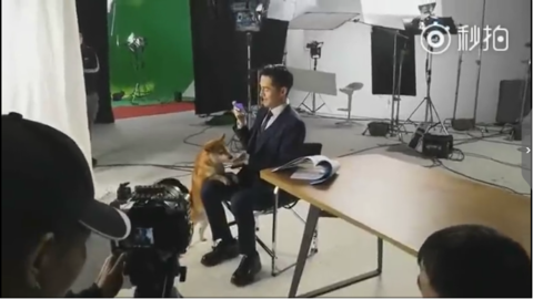 [新闻]180404 猫奴胡歌竟然不得汪星人宠爱？广告拍摄现场沦为“狗不理”