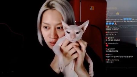 [分享]191230 希澈直播中承认自己收养了雪莉的猫咪