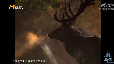 [新闻]200501 读诗人杨紫朗读泰戈尔名篇《生如夏花》 用温暖真诚的声音传递治愈力量