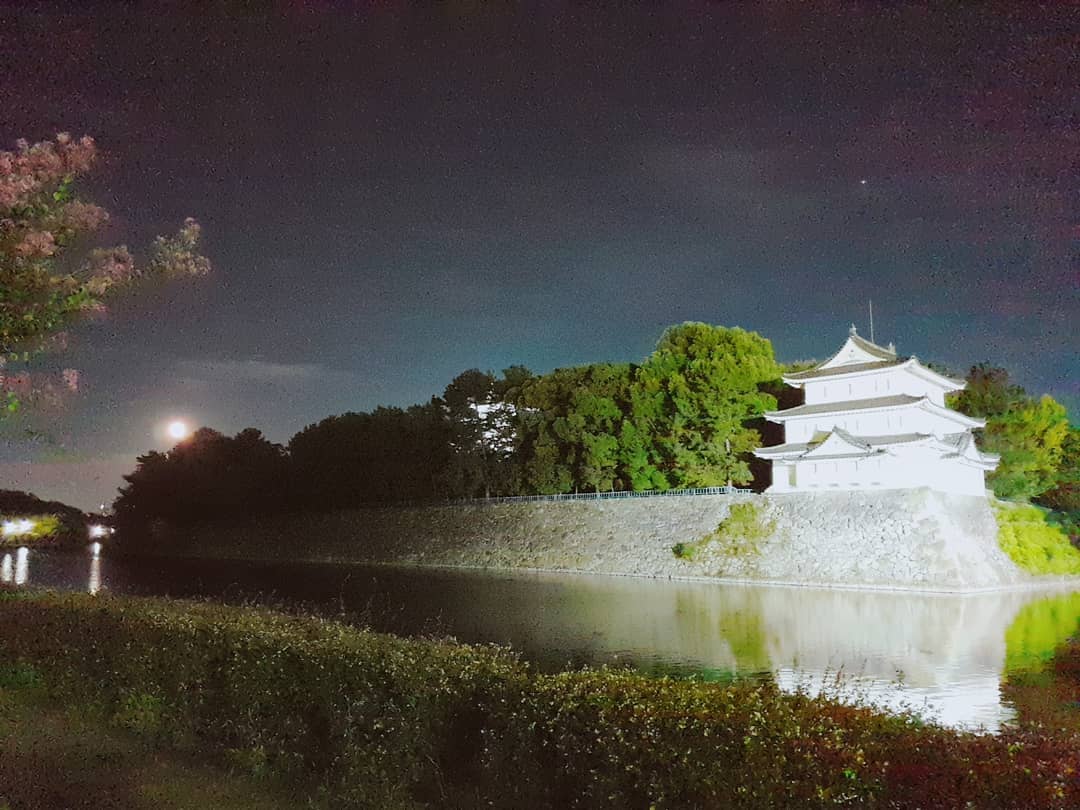 [分享]180828 慧潾名古屋散步中 称赞夜景漂亮