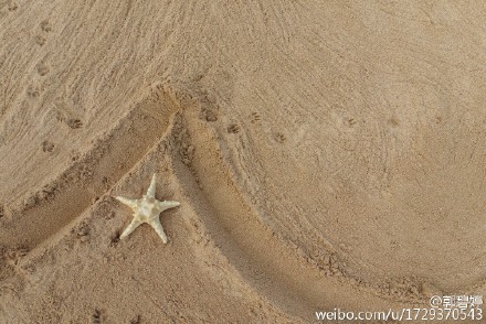 [新闻]160424 郭碧婷海边嬉戏 为爱狗更新微博