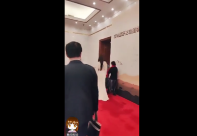 181130【迪丽热巴】2018第六届野生动植物卫士奖颁奖典礼
