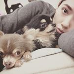 [分享]151202 爱犬相伴 妹花你好幸福