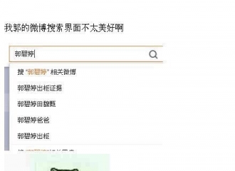 [教程]160125 郭碧婷微博净化搜索教程