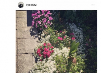 [新闻]160713 乔妹ins晒花秒删 影迷盼女神多多分享