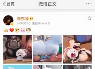 [新闻]160806 茜茜凌晨更博，新宠出没？