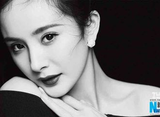 [分享]190116 那年今日|杨幂《瑞丽伊人风尚》封面大片曝光 高贵大气美极了