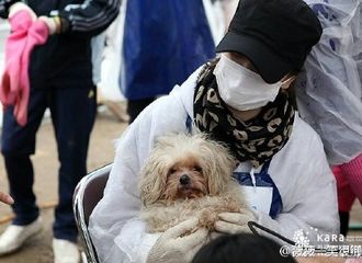 [话题]170124 慧乔的好又岂是一部作品一张照片 你喜欢的理由又是什么呢？