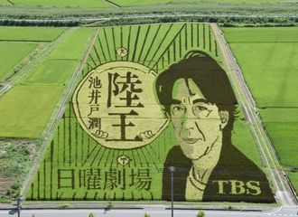 [新闻]170915 电视剧搜索排行榜