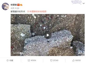 [新闻]171109 林更新微博更新视频示爱粉丝 可粉丝竟然表示“我恨”？！