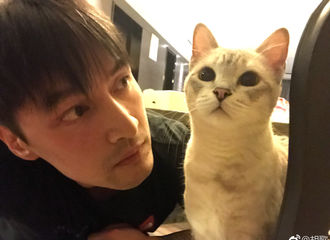 [新闻]171216 “铲屎官”胡歌上线！对爱猫撒娇“看我一眼好不好”