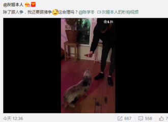 [新闻]180222 灰姬面临失宠危机？工作室晒陈学冬训猪日常