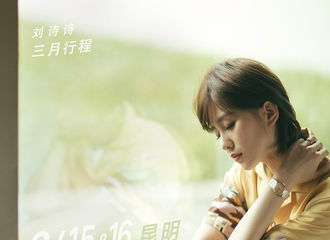 [新闻]180301 刘诗诗三月行程新鲜出炉 与大使昆明浪漫相约 