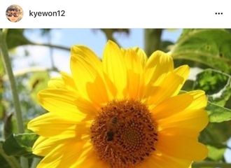 [分享]180321 JBJ经纪人发向日葵与合照 大家都很舍不得你们啊......