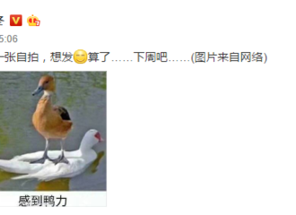 [新闻]180325 拍了自拍不发 陈学冬你这是玩火！