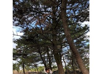 [新闻]180413 听说有实验者要放弃实验？请查收这位幸福实验中的信惠吧