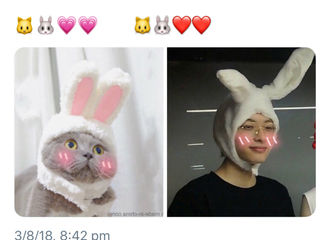 [分享]180805 木子洋哥哥的可爱藏不住了 兔子洋太过可爱外网也沦陷
