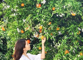 [新闻]180829 只需要见到就会被治愈的清新美 信惠的healing time~