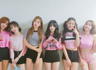 [新闻]180902 ELVIS们的应援让AOA充满力量 因你们而感到幸福
