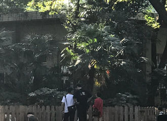 [新闻]181003 路人各种偶遇胡一天 小盆友带着助理去动物园度过假期