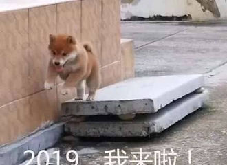 [新闻]190119 打响2019春节霸屏争夺战 送傅菁在五千万粉丝开屏c位出道