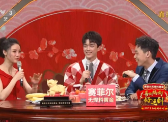 [新闻]190204 春晚倒计时直播采访 吴磊填写自己的“2019心愿公式”