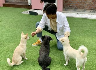 [新闻]190513 这里是金韩彬与狗狗们的和睦相处时间   韩彬是温柔的小哥哥没错了