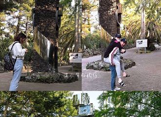 [分享]190515 优秀巫婆打卡李钟硕欧巴INS同款济州岛 跟小姐妹一起“圣地巡游”吧！