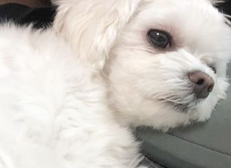 [分享]190708 您的小棒叮突然上线！热到只想躺着啥都不做...