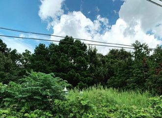 [分享]190808 想摸摸东海的脑袋瓜…爸爸放心，海海有好好的长大哦