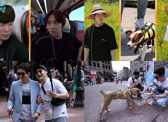 [新闻]190907 《猫狗旅行》金希澈→朴施厚，与伴侣犬一起进行“宠物之旅”·加拿大温哥华旅行