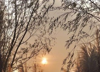 [分享]191210 今日份小猴紫收工打卡风景照更新 杨老板下次发个自拍吧~