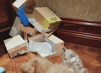 [新闻]200130 宅家模式的杨文静终于营业 紫米在线呼吁漂亮杨紫发自拍