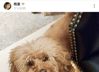 [新闻]200208 piupiu又是被迫营业的一天 下次营业可以看到紫妹本尊吗？