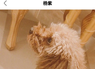 [新闻]200228 piupiu是有想法的汪星人 小瘦猴紫称体重也需要勇气
