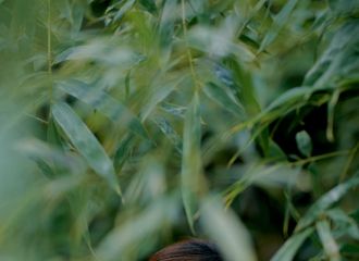 [新闻]200926 杨紫一身芥黄长裙亮相百花奖闭幕式 杨文静：能够来到这里就是荣誉