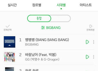 [分享]201101 将历届melon年度排名合在一起可以制作排行榜的BigBang