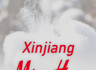 [新闻]210325 迪丽热巴上线转发人民日报微博 为支持家乡新疆棉花表态发声！
