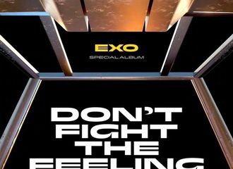 [分享]210531 EXO特别专辑《DON'T FIGHT THE FEELING》专辑配置公开！