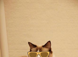 [分享]210629 晒猫老父亲再次晒出爱宠美照，噜噜宝贝帅气随爸！