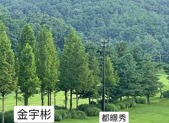 [分享]210801 推主分享在高尔夫球场偶遇暻秀，去享受生活真好！