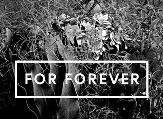 [分享]210816 《For Forever》发行五周年 发发爱我❤我爱发发专属于花花与火星人的浪漫情诗