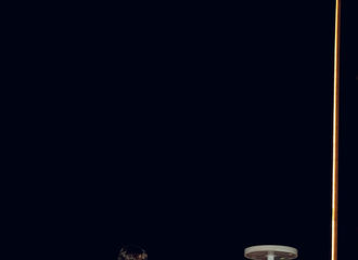 [新闻]210819 蔡徐坤&小鬼小分队亮相818晚会 城堡在逃优雅公爵和白衣纯欲系少年