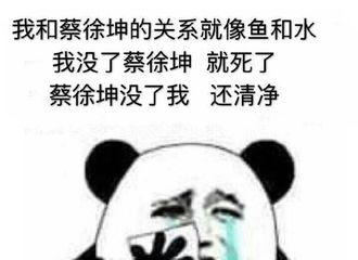 [新闻]210829 找不到蔡徐坤ikun都疯了 缪贼可女士成IKUN寻崽之路最大障碍！